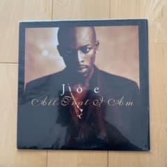 人気盤　Joe All That I Am レコード　USオリジナルのサムネイル