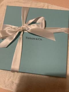 最終価格‼︎ ティファニー　Tiffany&Co プレート　皿　2枚組セットのサムネイル