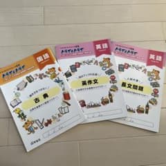 ⭐︎猫⭐︎さま　トライ&トライ3冊のサムネイル