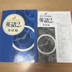 pincoro様 リクエスト 2点 まとめ商品のサムネイル