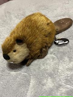 スーパービーバー ぬいぐるみ Amazon.co.jp: SUPER BEAVER スーパービーバー ビーバーちゃん