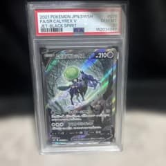 ふ*ん様 こくばバドレックスV SR PSA10 076/070 ふ*ん様 こくばバドレックスV SR PSA10 076/070 - メルカリ