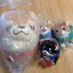 新品 忠犬もちしば ぬいぐるみ 超BIG JB もち柴 柴犬 4個