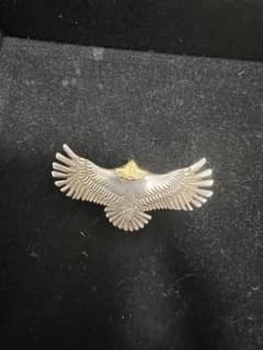 アリゾナフリーダム　頭金中イーグルのサムネイル