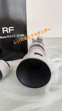 Canon 望遠レンズRF 100-500mm ＆ エクステンダー RF2X - メルカリ