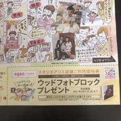 ぴょんこ様専用 スタジオアリス ウッドフォトブロックプレゼント券のサムネイル