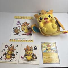 ポケモンセンター メガリザードンYのポンチョを着たピカチュウ