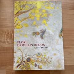 オディロン•ルドン　秘密の花園のサムネイル