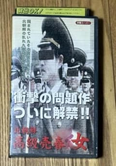 レトロ品☆懐かしのピンク映画『北朝鮮 高級売春 女』VHSのサムネイル