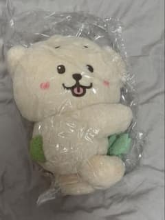 nctwish ジェヒ デヨン ぬいぐるみバッグ キャラクターバッグ 재희