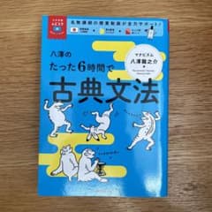 八澤のたった6時間で古典文法のサムネイル