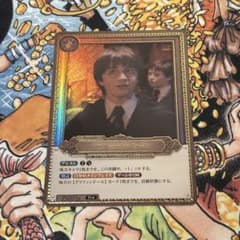 ハリー・ポッター カードゲーム Pt003a Pt★ パラレル ハリポ