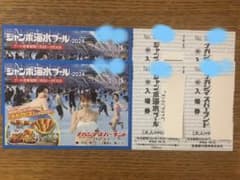 ナガシマジャンボ海水プール　スパーランド　ペア入場券のサムネイル