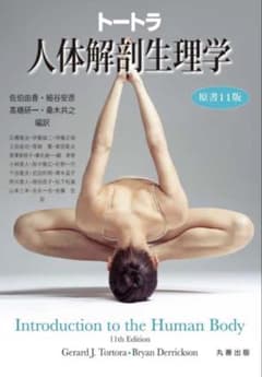 トートラ人体解剖生理学 原書11版のサムネイル