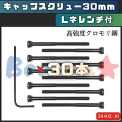ミニ四駆 キャップスクリューボルト30mm×30本 社外品 L字レンチ付