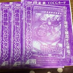 捕食植物ドラゴスタペリアのサムネイル