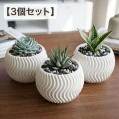 【3個セット】モダンな波型デザイン 植木鉢 ホワイト 多肉植物 観葉植物 プラ鉢のサムネイル