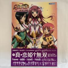 TVアニメ真・恋姫・無双ビジュアル・ガイドブック - メルカリ