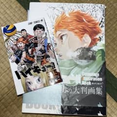 ハイキュー!! Complete Illustration book 終わりと…のサムネイル