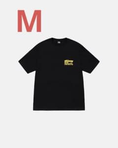 STUSSY（ステューシー） STUSSY DNA PIG.DYED.TEEのサムネイル