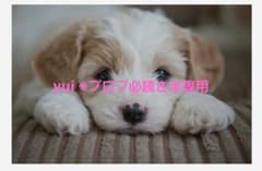 yui ※プロフ必読さま専用のサムネイル