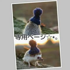 《 彩音さま  お取り置き 》のサムネイル