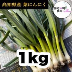 専用☆【農家直送】高知県特産‼️葉ニンニク 20kg 高知県産【高級食材♪葉ニンニク】1kg 産地直送！野菜 Tjj - メルカリ