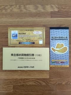 匿名配送】イエローハット株主優待券3000円分+油膜取りウォッシャー液
