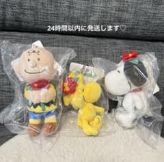 m72773198760_1.jpg?1755163581