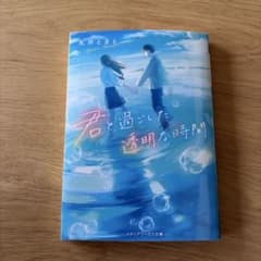 君と過ごした透明な時間のサムネイル