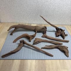 し*ち様 水槽用流木 7本セット M369 - メルカリ