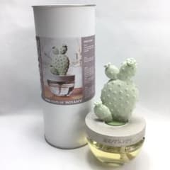 サボテン ルームフレグランス アップルの香りのサムネイル