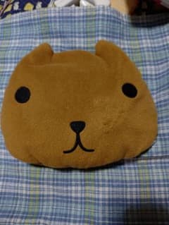 카피바라씨 매력 커버 첨부