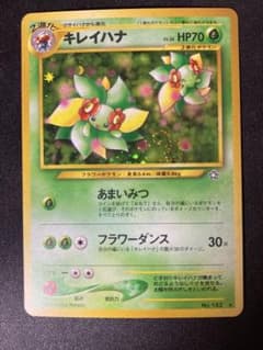 美品　旧裏　キレイハナのサムネイル