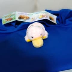 はしっこかものはしぷちぐるみ　カモコのサムネイル