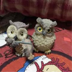 キキ☆ララ様専用ページ♡のサムネイル