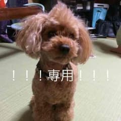 トミー&ナオ様専用！！！のサムネイル
