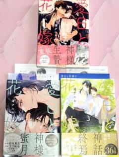 【渚アユム】愛日と花嫁　全巻セット/限定版&限定小冊子&特典ペーパーのサムネイル