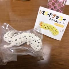 レオパードゲッコー おやすみシリーズのサムネイル