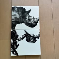 MR.CHILDREN 1992-1995、1996-2000 セットのサムネイル