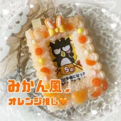 みかん フルーツ 可愛い 硬質ケース トレカのサムネイル