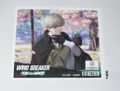 WINDBREAKER ウィンブレ サントリー缶 ラベル 梶蓮 - メルカリ