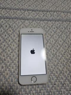 Apple iPhone 5s 본체 골드 16GB
