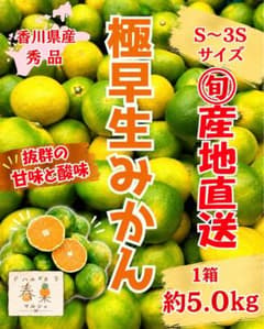【秀品】極早生みかん 産地直送 約5.0kgのサムネイル