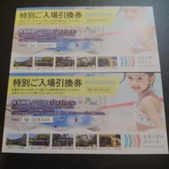 【箱根小涌園ユネッサン】入場券2枚 チケット - 2