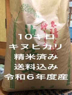 近江米　キヌヒカリ　新米　精米済み　10キロ送料込み　令和6年度産のサムネイル