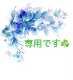 Green様専用✨2️⃣のサムネイル