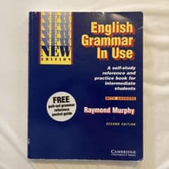 English Grammar In Use 第二版のサムネイル