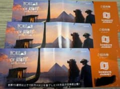 無料券3枚】古代エジプトを旅できるVR体験「Horizon of Khufu」 - メルカリ