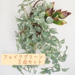【限定値下げ！】東京堂のフェイクグリーン3点セットのサムネイル
